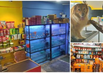 9 Pet Stores in Kanpur that your pet would bookmark if they could