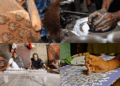 Beyond leather and factories: 9 traditional crafts that define Kanpur’s heritage